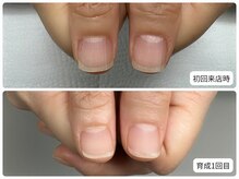 ナチュレ(NATURE)/