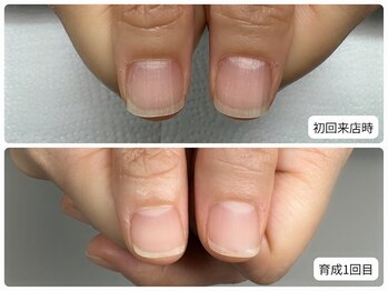 ナチュレ(NATURE)/