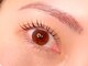 ハレアイラッシュ(hare eyelash)の写真/【"ダメージ特化"のまつ毛パーマ専門店♪】2種類のトリートメント付◆まつ毛パーマ￥5280｜完全個室◎