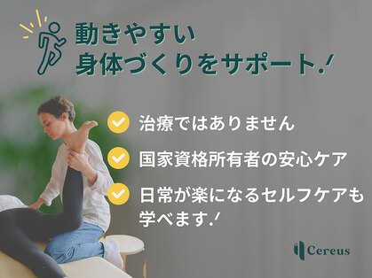 セレウス(Cereus)の写真