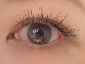 カラン 焼津店(CALIN)/ブラウン×ブラック 100本