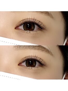 シル バイ オウル(cil by owl)/フラットラッシュ140本