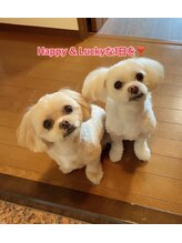 ハピエスト(Happiest)/ペットセラピー
