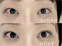 リノモア(LinoMoa)/フラットラッシュ140本