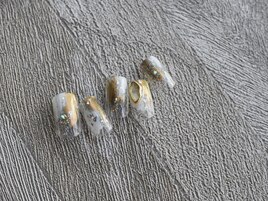 1月select(J)6,980円/全10種