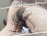 自まつ毛から立ち上げ Lift Up Lash (ボリュームラッシュ)320本￥10300