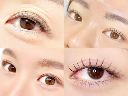 noelie【2/1 NEWOPEN(予定)】の写真