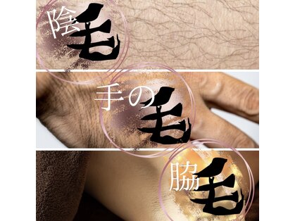 アエラ(AERA)の写真