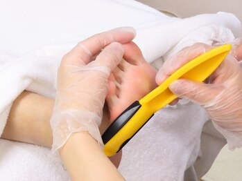 かろやか/前処理