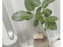 ヘルミ(hrm)/店内の様子1