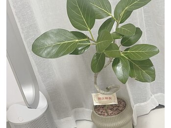 ヘルミ(hrm)/店内の様子1