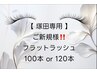 【塚田専用】今年12/31までのご来店！フラットラッシュ100本or120本¥4,880