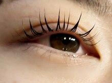  Re:Birth/しっかり立ち上げパリジェンヌ♪