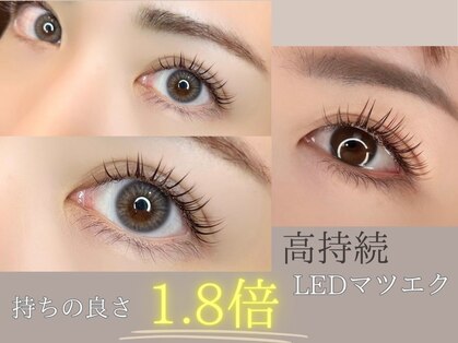 オアシス(Oasis)の写真