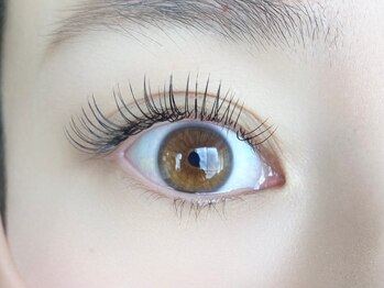 アイクイック 亀戸店(Ai Quick)/セーブル160本