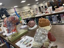 エステスタジオ アンド カイロプラクティック ガネーシャ/