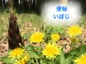 【便秘・いぼじ  専門鍼 】鍼40分 11000円→8800円
