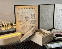 ティルナノーグイリニ(Tir Na Nog-EIRINI)