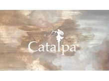 カタルパ(Catalpa)