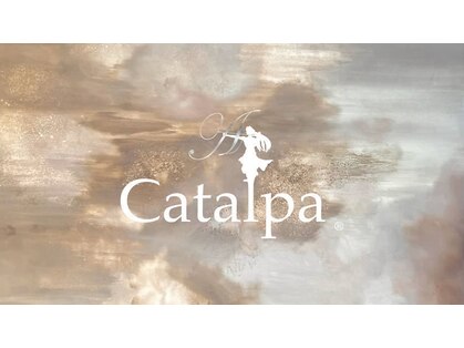 カタルパ(Catalpa)の写真
