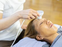 ルシアス/エレクトロポレーション