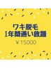 《脱毛》ワキ脱毛 1年間通い放題(12回保証) ￥15,000