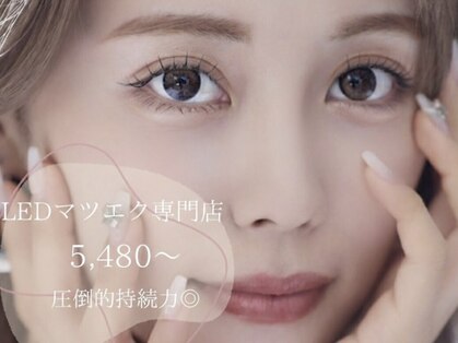 ロレインアイ錦糸町店【まつげパーマ/フラットラッシュ/マツエク/LED】の写真