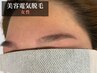【人気No.1】美容電気脱毛｜まゆ毛処理から卒業へ 初回45分処理放題