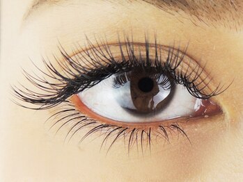 ビューティーサロン シュクレ 名駅店(shucre)/下まつ毛30本2900円