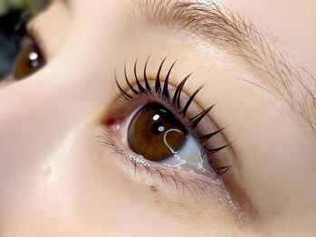 ソル ラッシュアンドブロウ(SOL lash&blow)/&Healthy