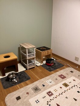 ハリスル 神戸訪問鍼灸付属治療院(harisuru)/よもぎ蒸し