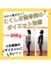 【60日で理想に！】骨盤×EMS×ダイエットカウンセリング　90分　￥6600円