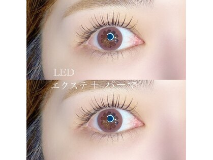 アンドジョリー(&Jolie)の写真