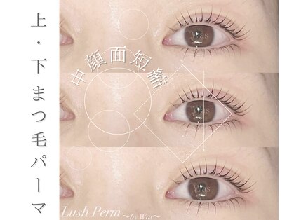 ワズ ナガレヤマ(Was NAGAREYAMA)の写真