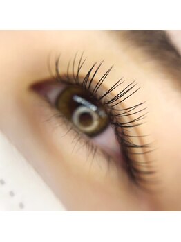 シックドゥホンジョウ(CHIC de Honjo)/フラットラッシュ