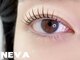 ネバサロン 蒲田(Neva Salon)の写真/根元から自然にUP!上品&抜け感まつげ★似合わせパーマも対応♪どのメニューが合うか迷っている方も大歓迎