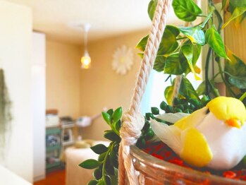 サニーガーデン(Sunny Garden)/