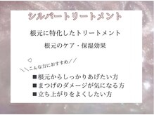 リボーン(RIBON)/シルバートリートメント