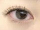 シェリーアイ(CHERIE EYE)の写真/【ナチュラル、でも大人可愛いまつげ♪】自まつげにフィットする形のエクステで自然に印象UPが叶う★