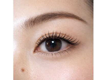ベリスラッシュ(Bellis Lash)の写真