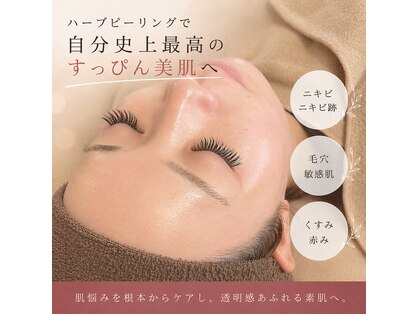 エムエルフ(emuerufu)の写真