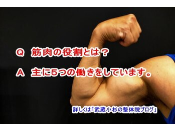 小池整体院/筋肉の役割とは？