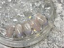 5月トレンド定額　新規7,260円