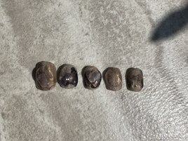 【Hand】KOTONO限定 ニュアンス