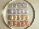 ハンド　定額デザイン　2