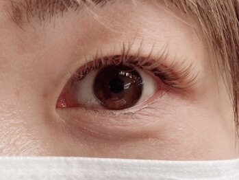 トラック(TRUCK)/●カラーエクステ