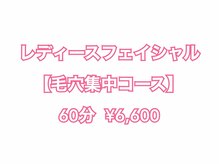エルミューノ(elμno)/レディース【毛穴集中コース】
