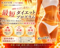 レイビス 盛岡店(RAYVIS)
