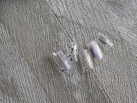 1月select(J)6,980円/全10種