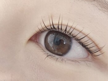 キャリコ(calico)/